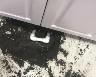 克东查漏水哪家好