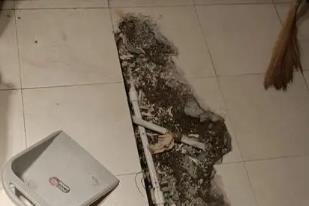 克东卫生间漏水检测电话